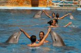 Mundomar espectáculo de delfines y nadadoras olímpicas