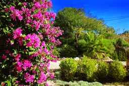 Jardin villa vacacional cerca de la costa