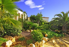 jardín con catus y palmeras