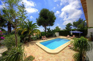 Piscina calentada y palmeras de Vista al Mar